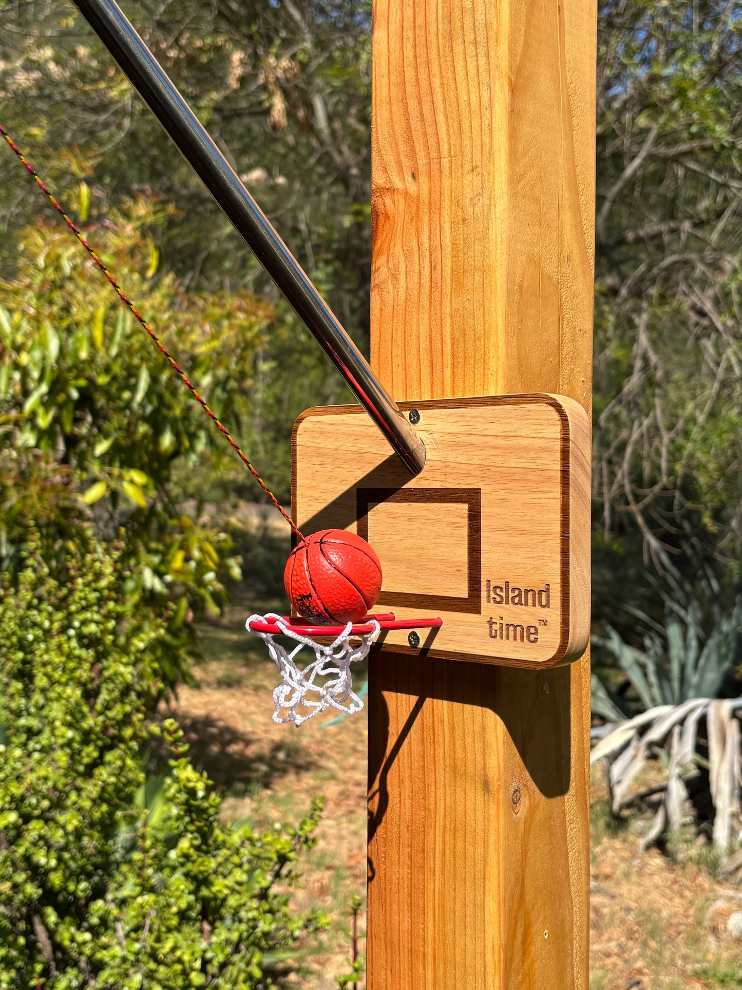 Swing Hoops Pro