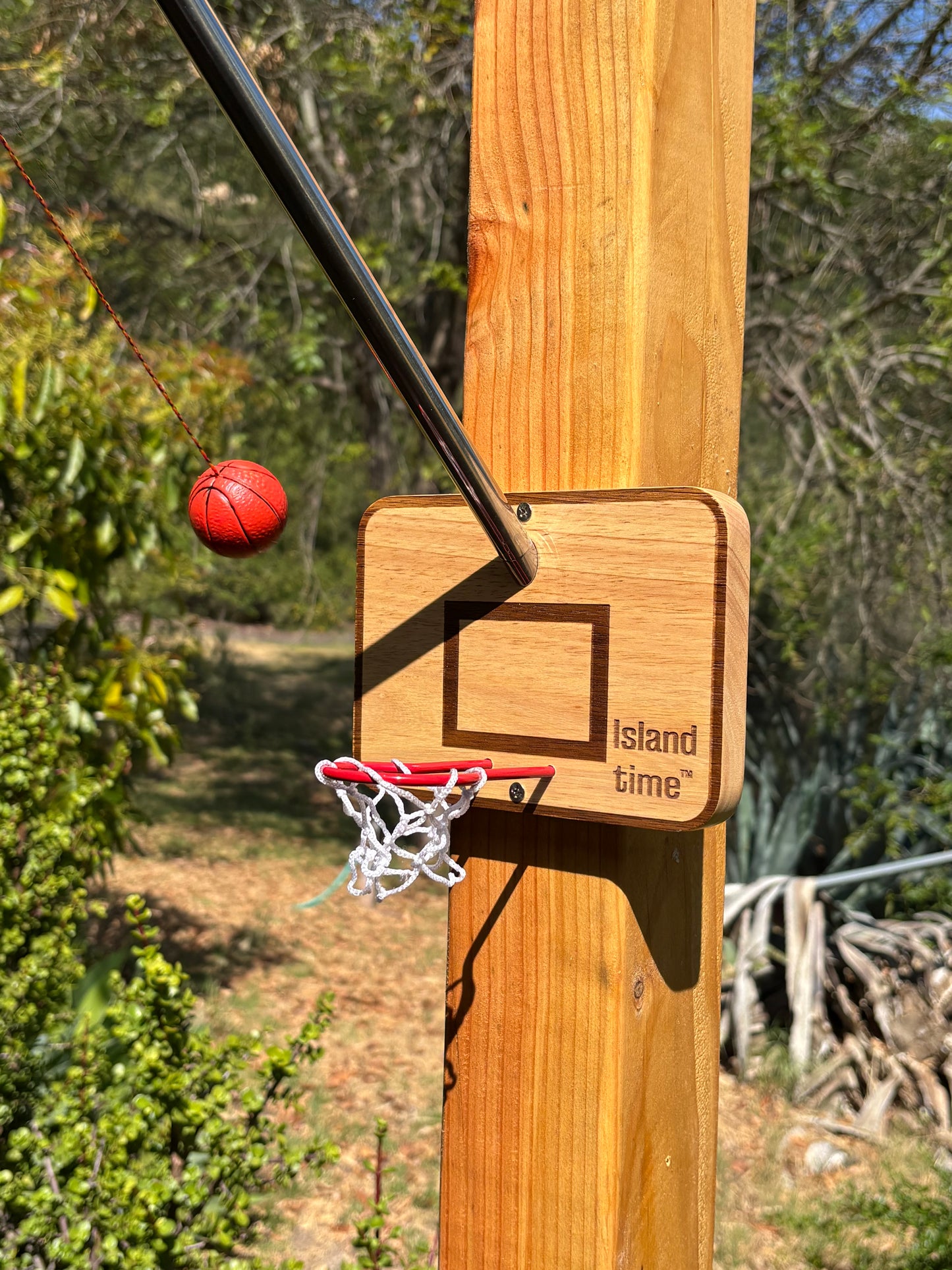 Swing Hoops Pro